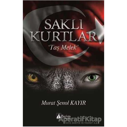 Saklı Kurtlar - Murat Şenol Kayır - Karina Yayınevi