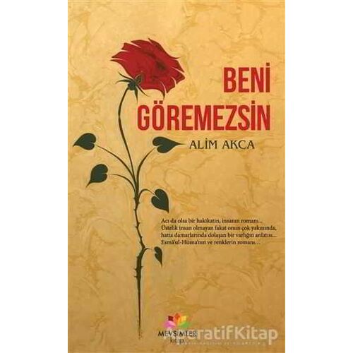 Beni Göremezsin - Alim Akca - Mevsimler Kitap