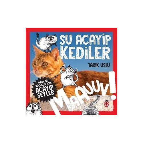 Daha da Küçükler İçin Şu Acayip Kediler - Daha da Küçükler İçin Acayip Şeyler 1