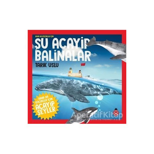 Daha da Küçükler İçin Şu Acayip Balinalar - Daha da Küçükler İçin Acayip Şeyler 4