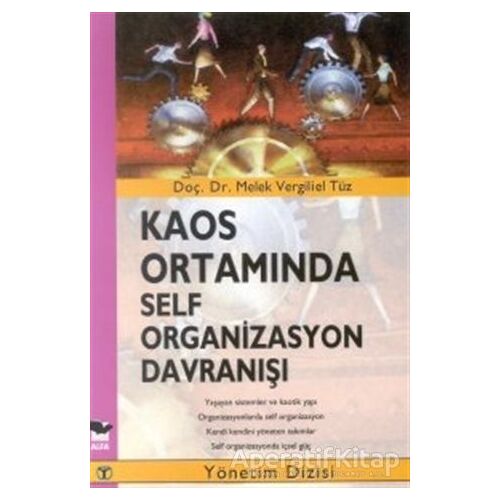 Kaos Ortamında Self Organizasyon Davranışı - Melek Vergiliel Tüz - Alfa Yayınları