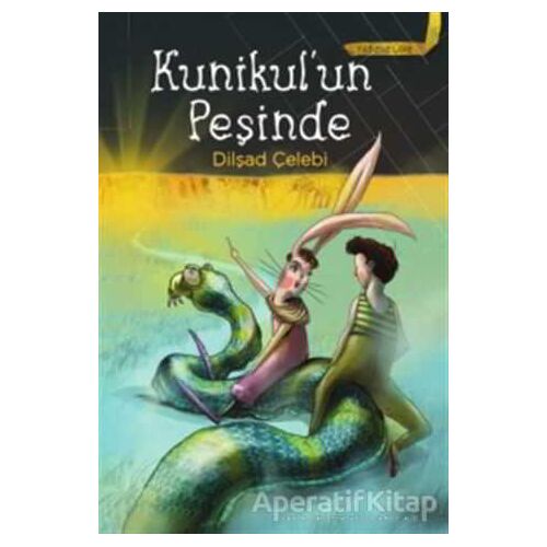 Yıldızsız Ülke 2: Kunikul’un  Peşinde - Dilşad Çelebi - Doğan Egmont Yayıncılık