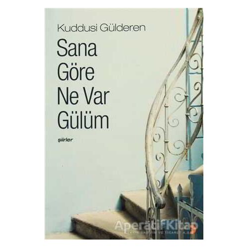 Sana Göre Ne Var Gülüm - Kuddusi Gülderen - Cinius Yayınları