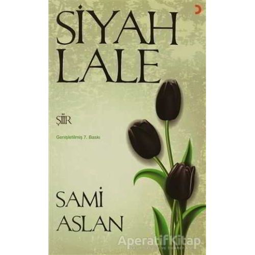 Siyah Lale - Sami Aslan - Cinius Yayınları