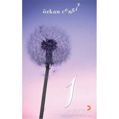 1 - Özkan Cengiz - Cinius Yayınları