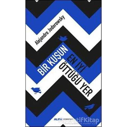 Bir Kuşun En İyi Öttüğü Yer - Alejandra Jodorawsky - Alfa Yayınları