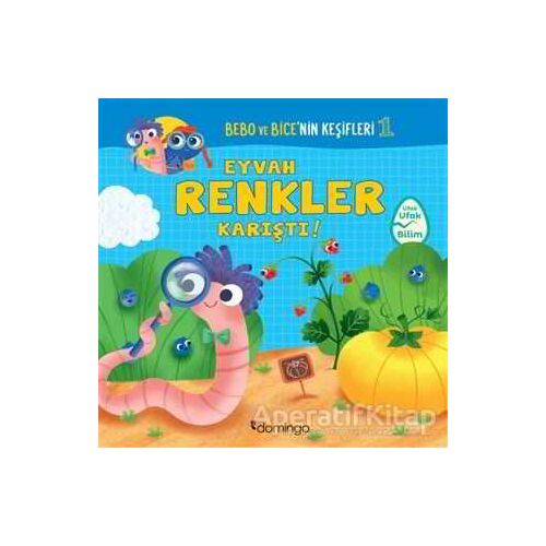 Eyvah Renkler Karıştı - Bebo ve Bicenin Keşifleri - Tecnoscienza - Domingo Yayınevi