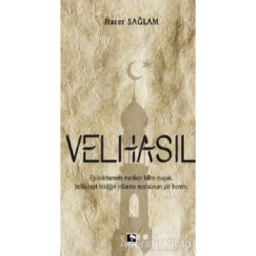 Velhasıl - Hacer Sağlam - Çınaraltı Yayınları