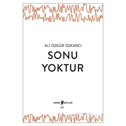 Sonu Yoktur - Ali Özgür Özkarcı - Edebi Şeyler