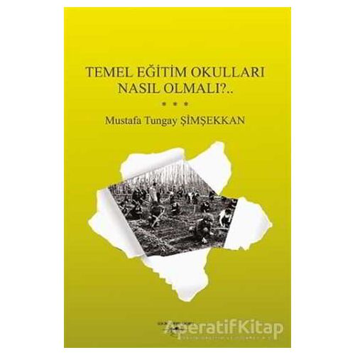 Temel Eğitim Okulları Nasıl Olmalı?.. - Mustafa Tungay Şimşekkan - Sokak Kitapları Yayınları