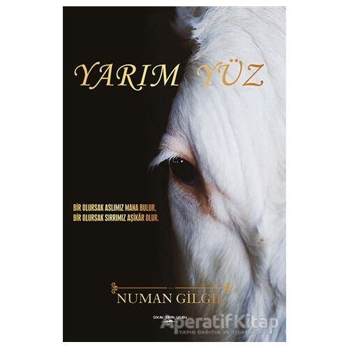 Yarım Yüz - Numan Gilgil - Sokak Kitapları Yayınları