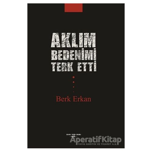 Aklım Bedenimi Terk Etti - Berk Erkan - Sokak Kitapları Yayınları