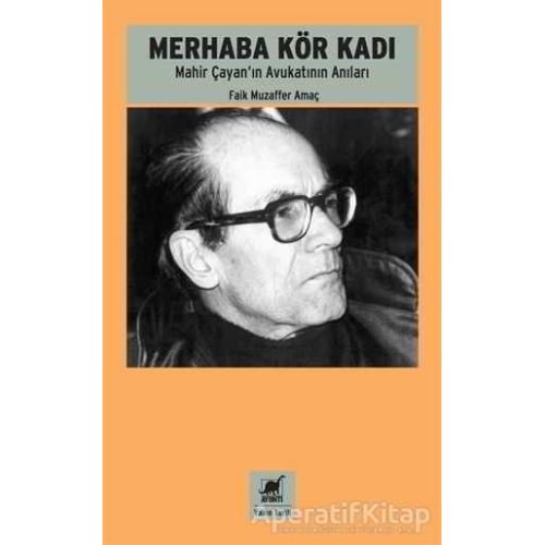 Merhaba Kör Kadı - Faik Muzaffer Amaç - Ayrıntı Yayınları