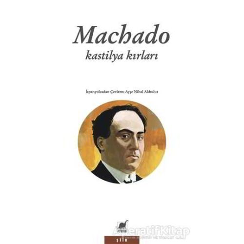 Kastilya Kırları - Antonio Machado - Ayrıntı Yayınları