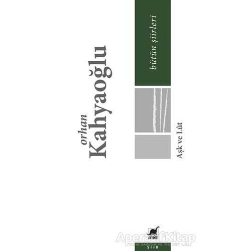 Aşk ve Lut - Orhan Kahyaoğlu - Ayrıntı Yayınları