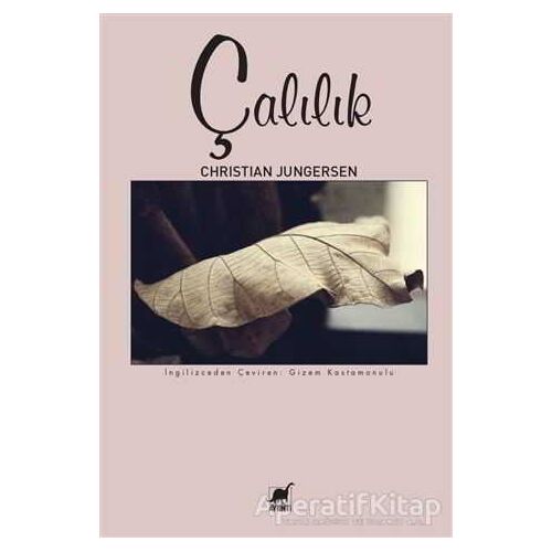 Çalılık - Christian Jungersen - Ayrıntı Yayınları