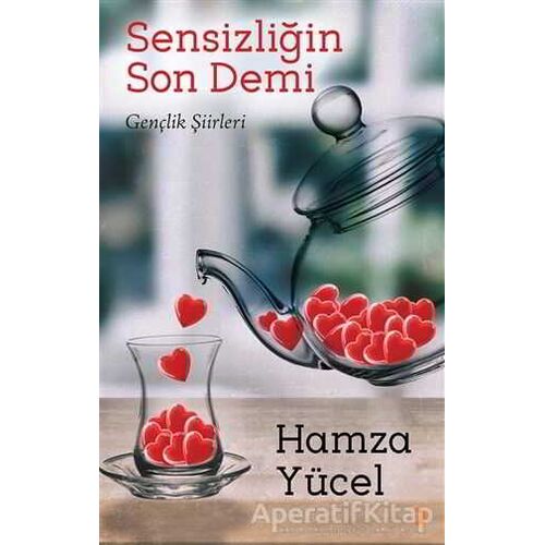 Sensizliğin Son Demi - Hamza Yücel - Cinius Yayınları