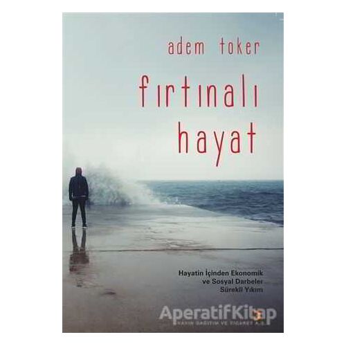 Fırtınalı Hayat - Adem Toker - Cinius Yayınları