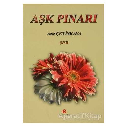 Aşk Pınarı - Aziz Çetinkaya - Can Yayınları (Ali Adil Atalay)