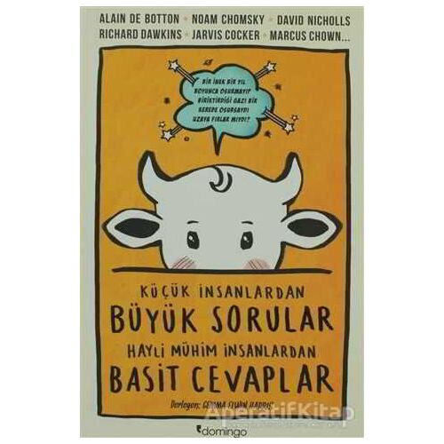 Küçük İnsanlardan Büyük Sorular Hayli Mühim İnsanlardan Basit Cevaplar - Kolektif - Domingo Yayınevi