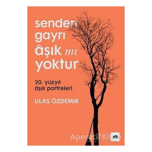 Senden Gayrı Aşık mı Yoktur - Ulaş Özdemir - Kolektif Kitap