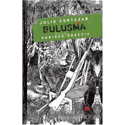 Buluşma - Julio Cortazar - Delidolu