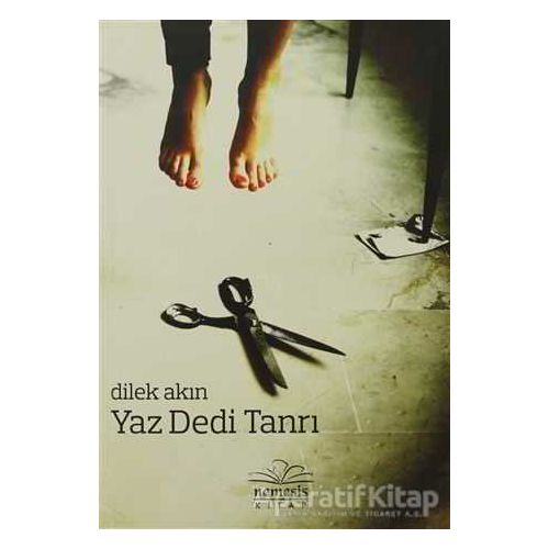 Yaz Dedi Tanrı - Dilek Akın - Nemesis Kitap