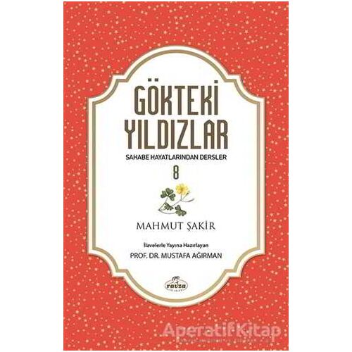 Gökteki Yıldızlar 8 - Mustafa Ağırman - Ravza Yayınları
