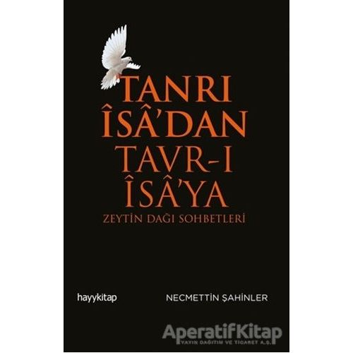 Tanrı İsa’dan Tavr-ı İsa’ya - Necmettin Şahinler - Hayykitap