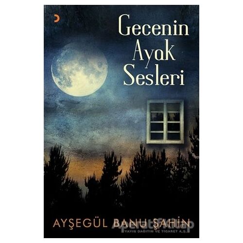 Gecenin Ayak Sesleri - Ayşegül Banu Şahin - Cinius Yayınları