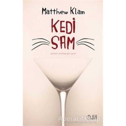 Kedi Sam - Matthew Klam - Aylak Adam Kültür Sanat Yayıncılık