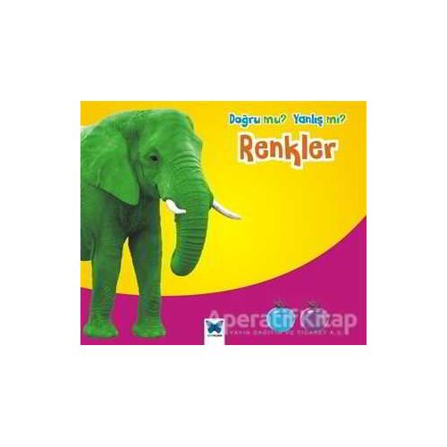 Doğru mu? Yanlış mı?: Renkler - Daniel Nunn - Mavi Kelebek Yayınları