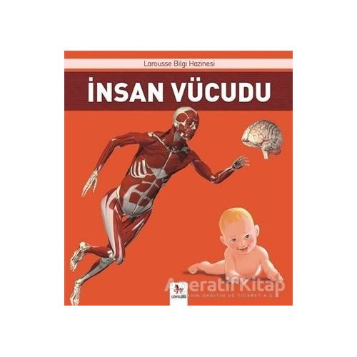 İnsan Vücudu - Ezgi İnanç - Almidilli